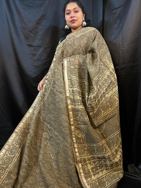 Woman wearing a traditional patterned saree against a black background